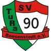 SV TuRa Beesenstedt