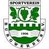 SV Burgwerben 1906