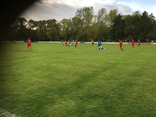 09.11.2018 SG Rot-Weiß Thalheim vs. VfB IMO Merseburg