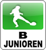 +++Spieler für U17 (B-Jugend) gesucht+++